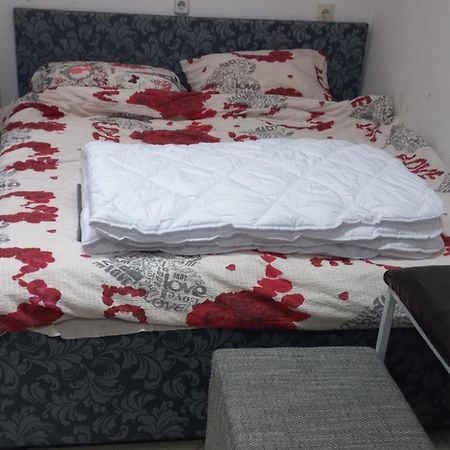 Apartament Big Bed, Rumenacka 7 Nowy Sad Zewnętrze zdjęcie