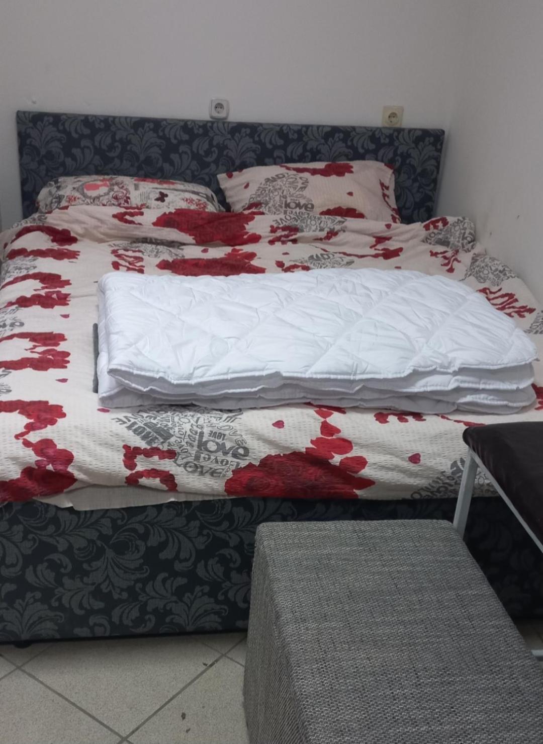 Apartament Big Bed, Rumenacka 7 Nowy Sad Zewnętrze zdjęcie